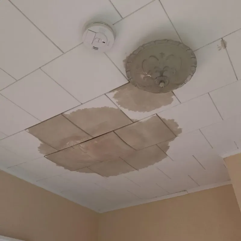 Ceiling Water Damage Repair in Chapel Hill, TN