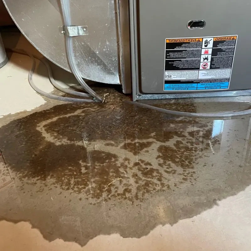 Pipe Burst and Leak Restoration in Chapel Hill, TN