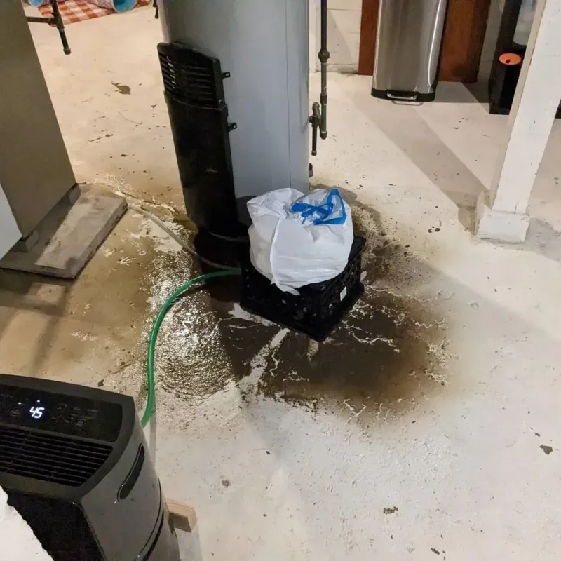 Sewage Backup Cleanup Service in Chapel Hill, TN